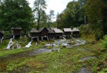 Photography Rules and Religious Pilgrimages in Ottoman Constantinople