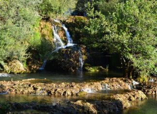 The Sultan and the Pilgrimage to Mecca