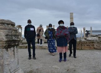 Museum Record and Comparative Examples